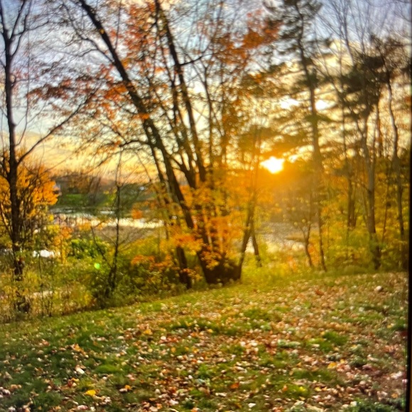 Meet your Posher, Mary - Picture 1 of 1